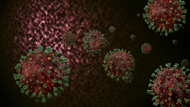 https://vistinomer.mk/wp-content/uploads/2022/02/coronaviruses-g7cc1d813f_640.jpg